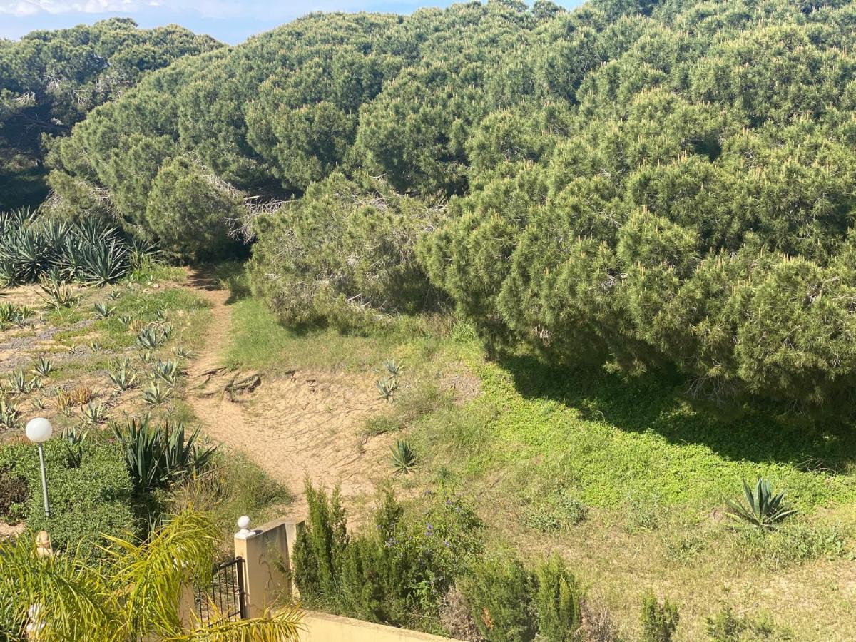Casa De La Duna Costa Blanca La Mata  Bagian luar foto