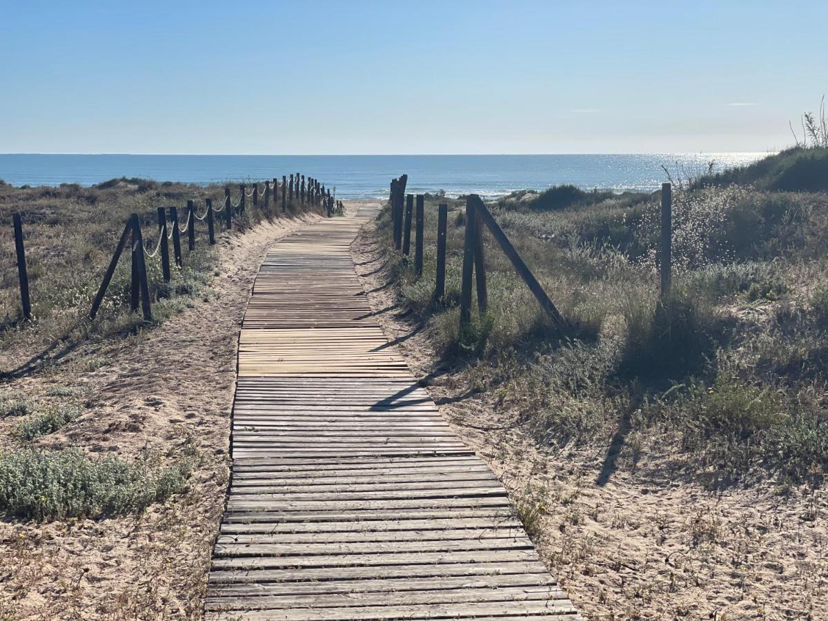 Casa De La Duna Costa Blanca La Mata  Bagian luar foto